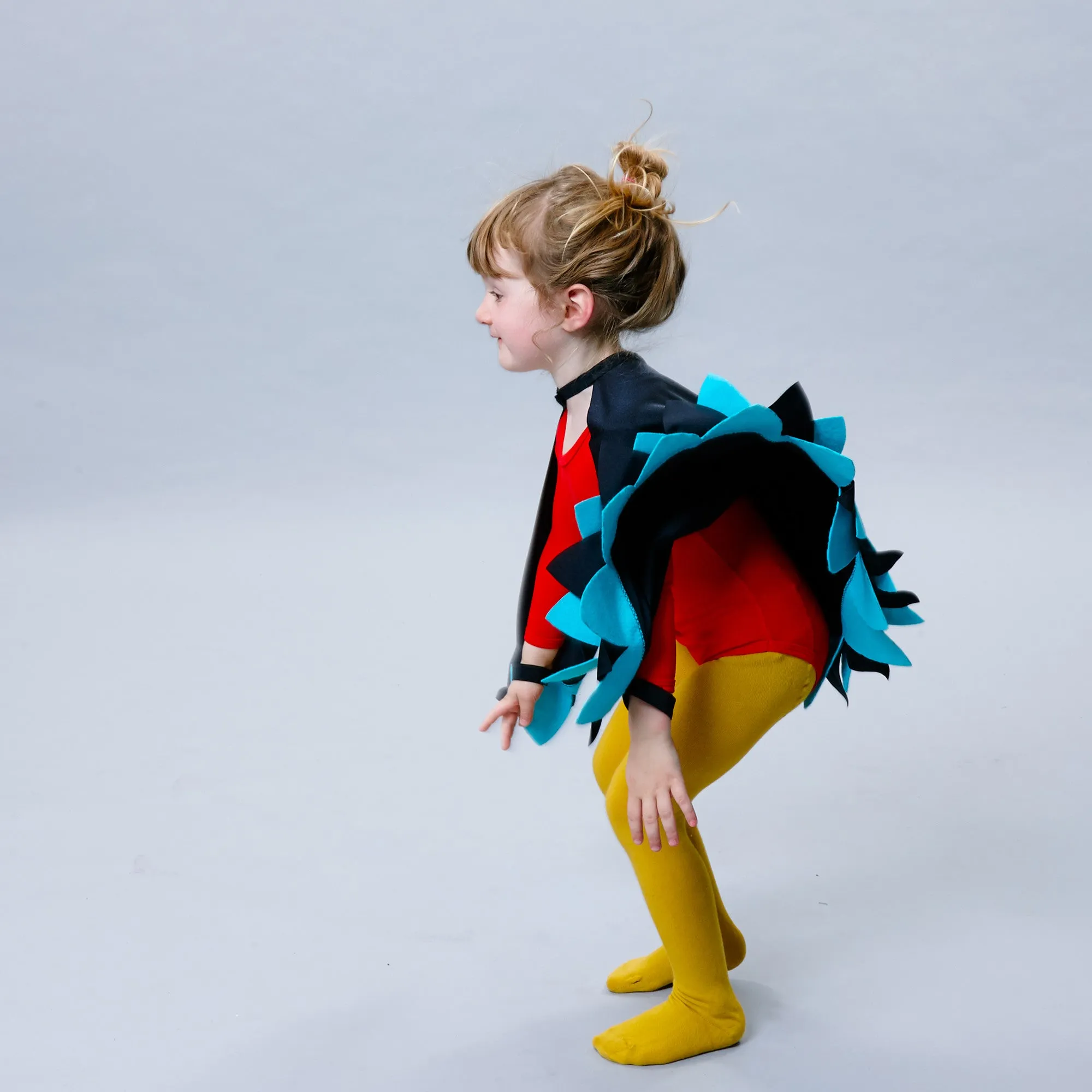 bluebird cape