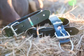 Dog Collar PVC 32mm x 70cm - Black