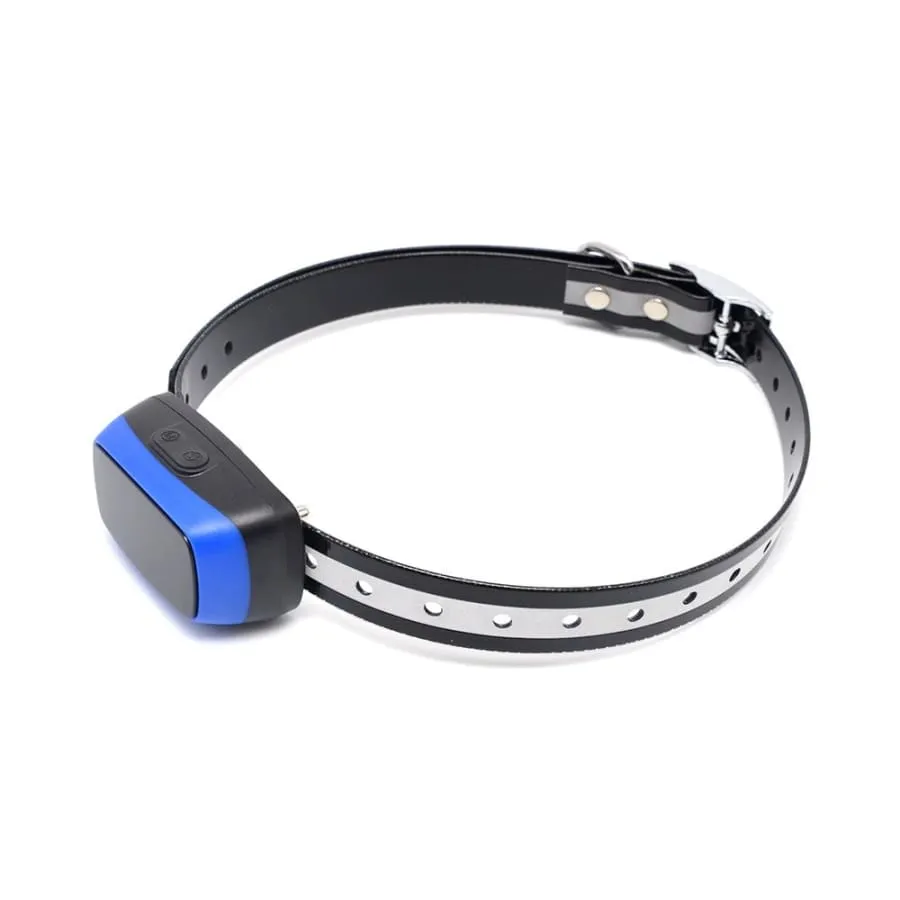 Dog Training Collar Shock or No Shock color BLUE