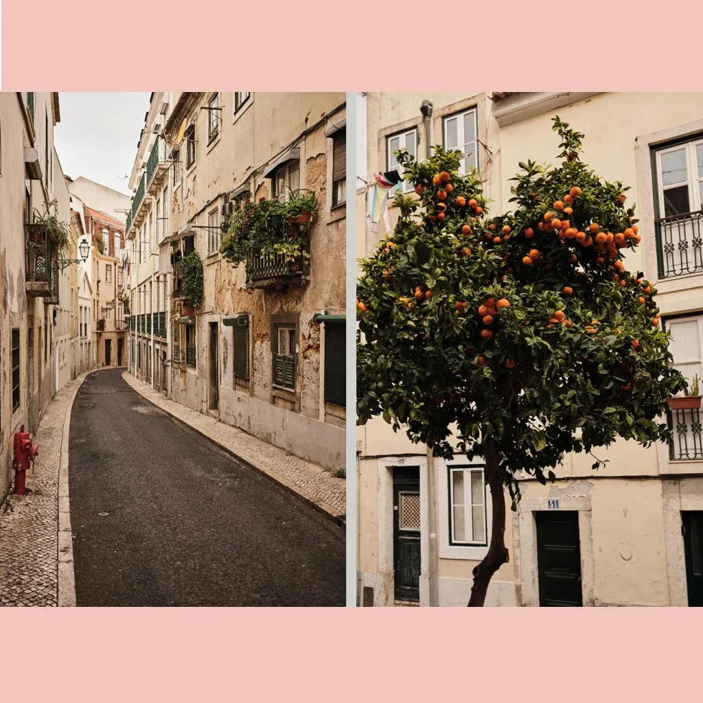 Fare Magazine Issue 11: Lisbon