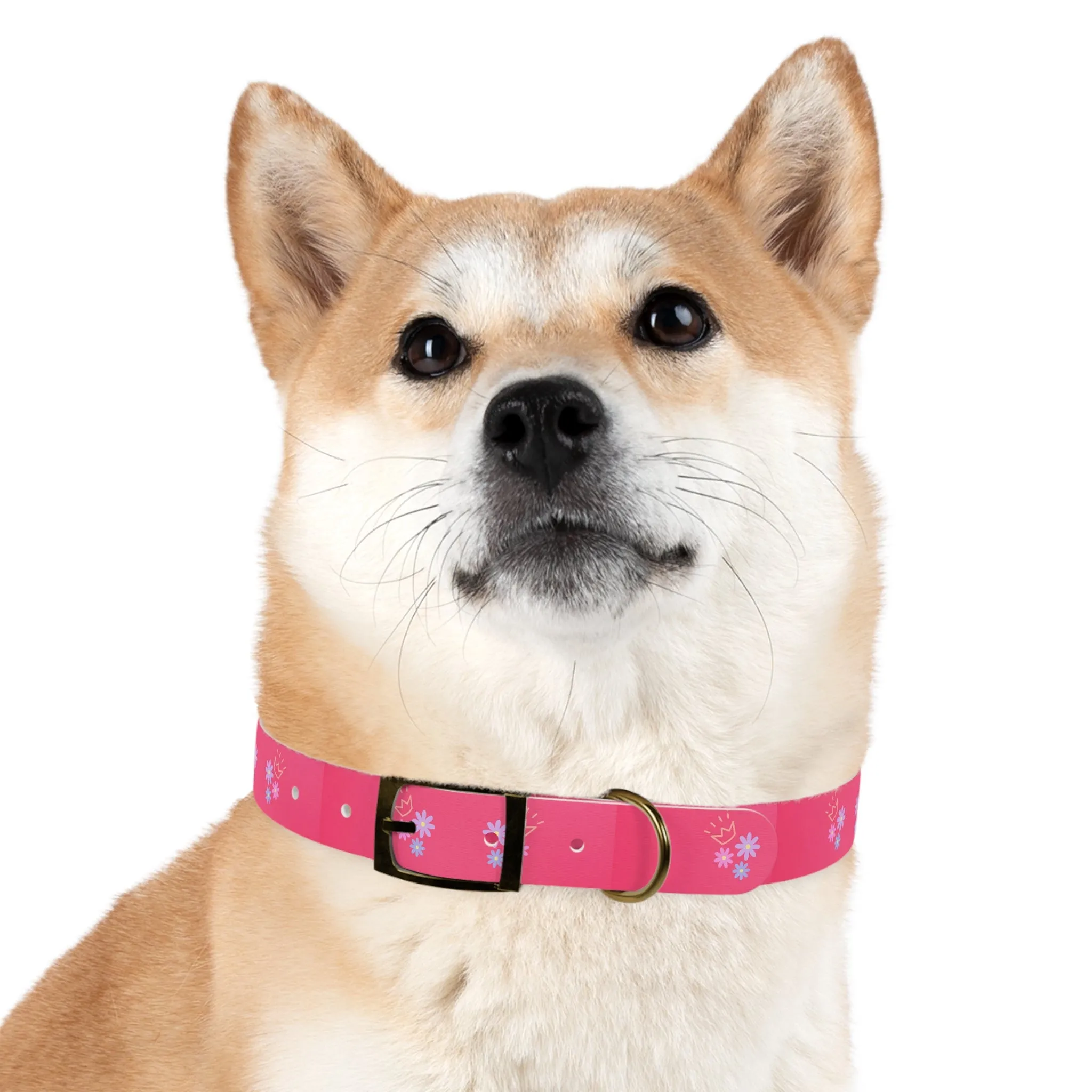Flower Queen Dog Collar