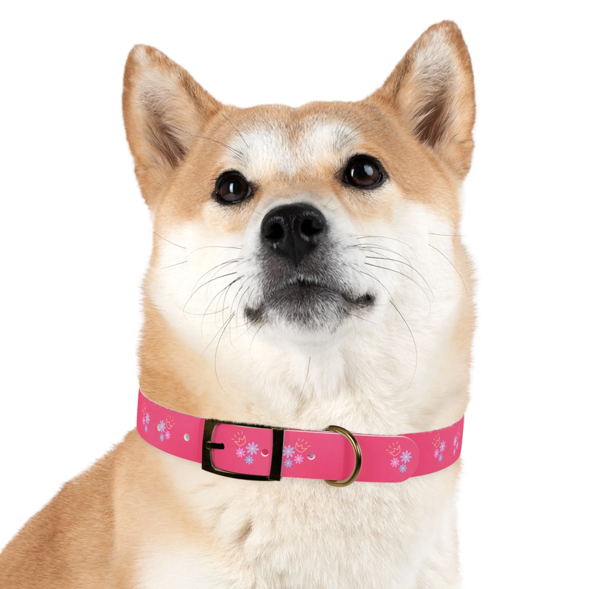 Flower Queen Dog Collar