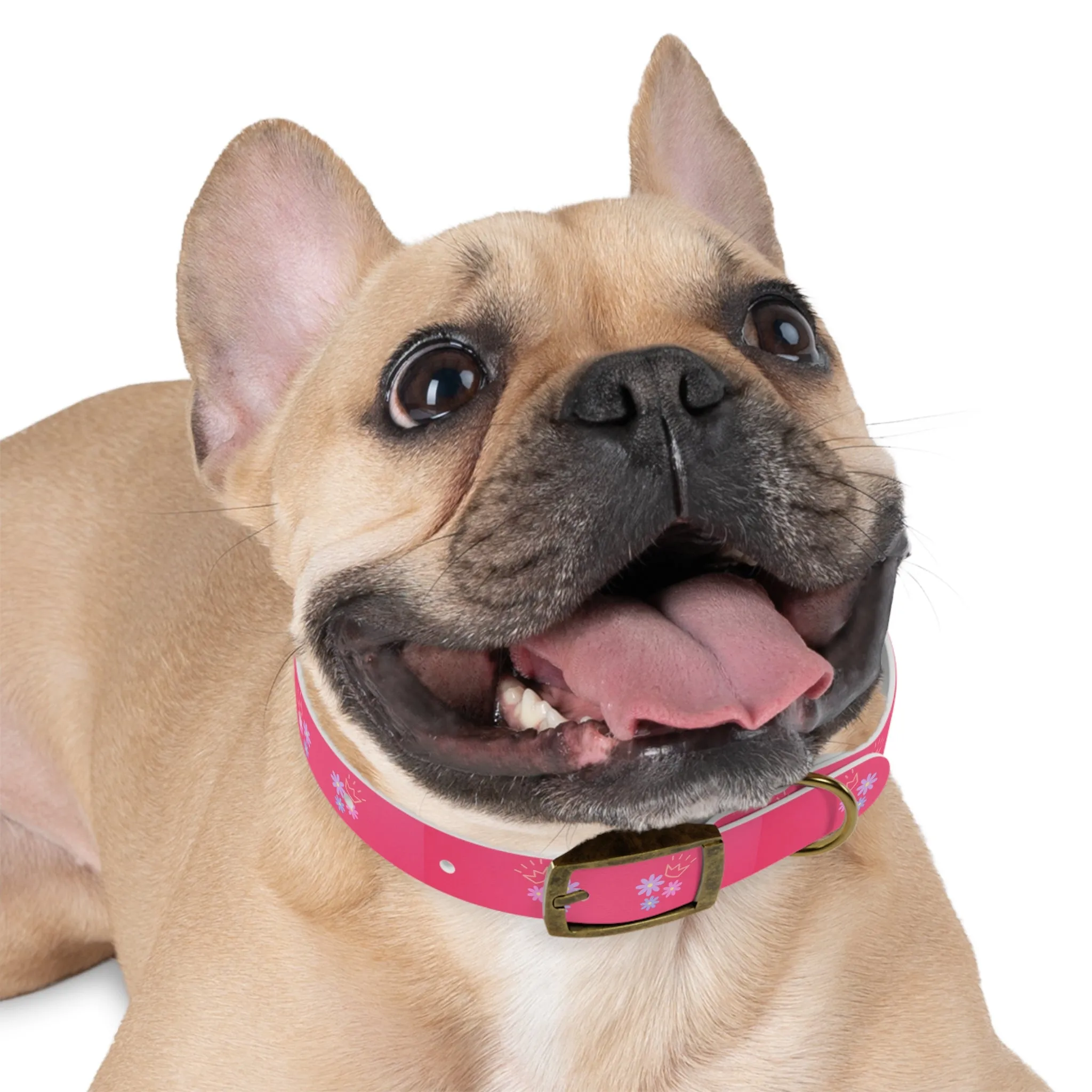 Flower Queen Dog Collar