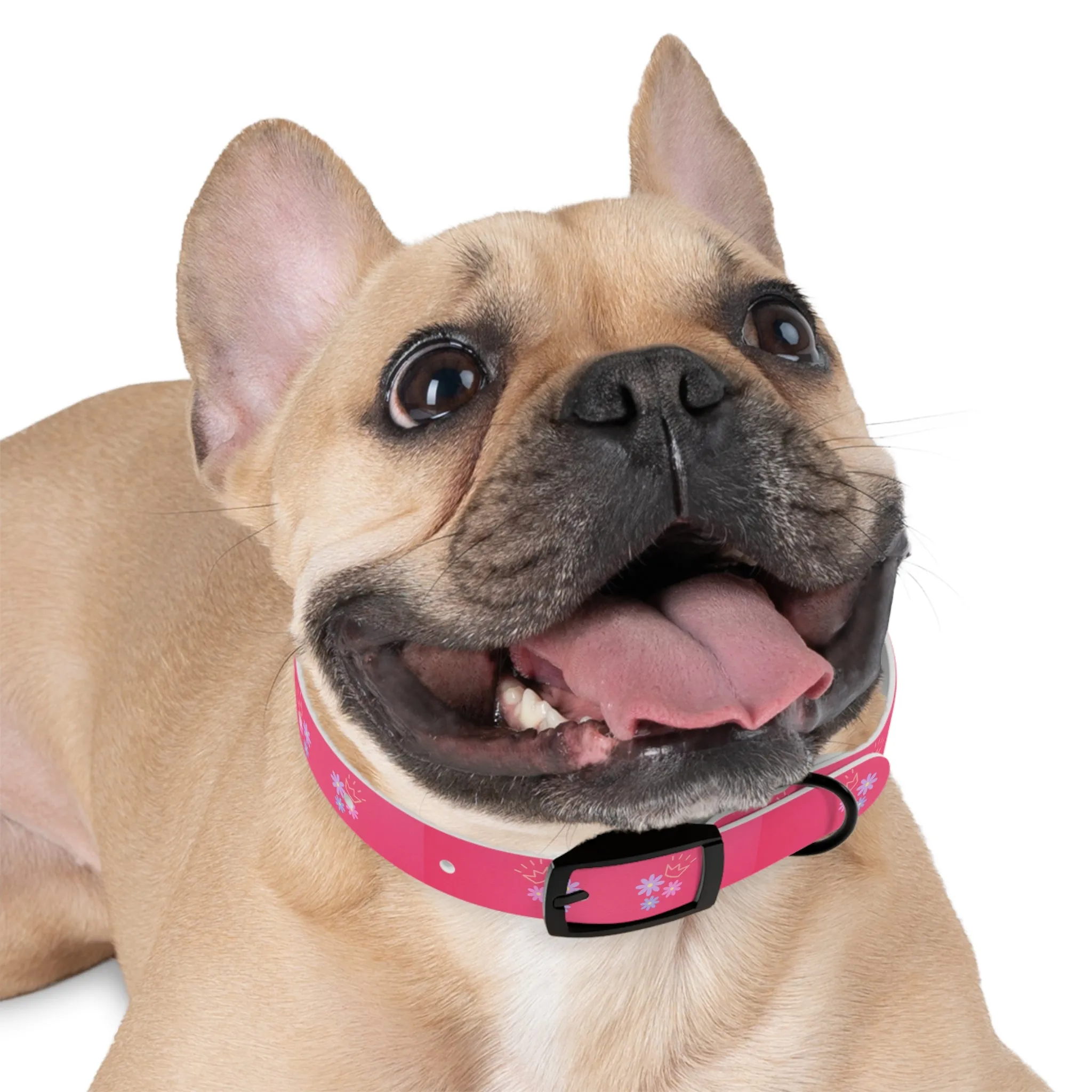 Flower Queen Dog Collar