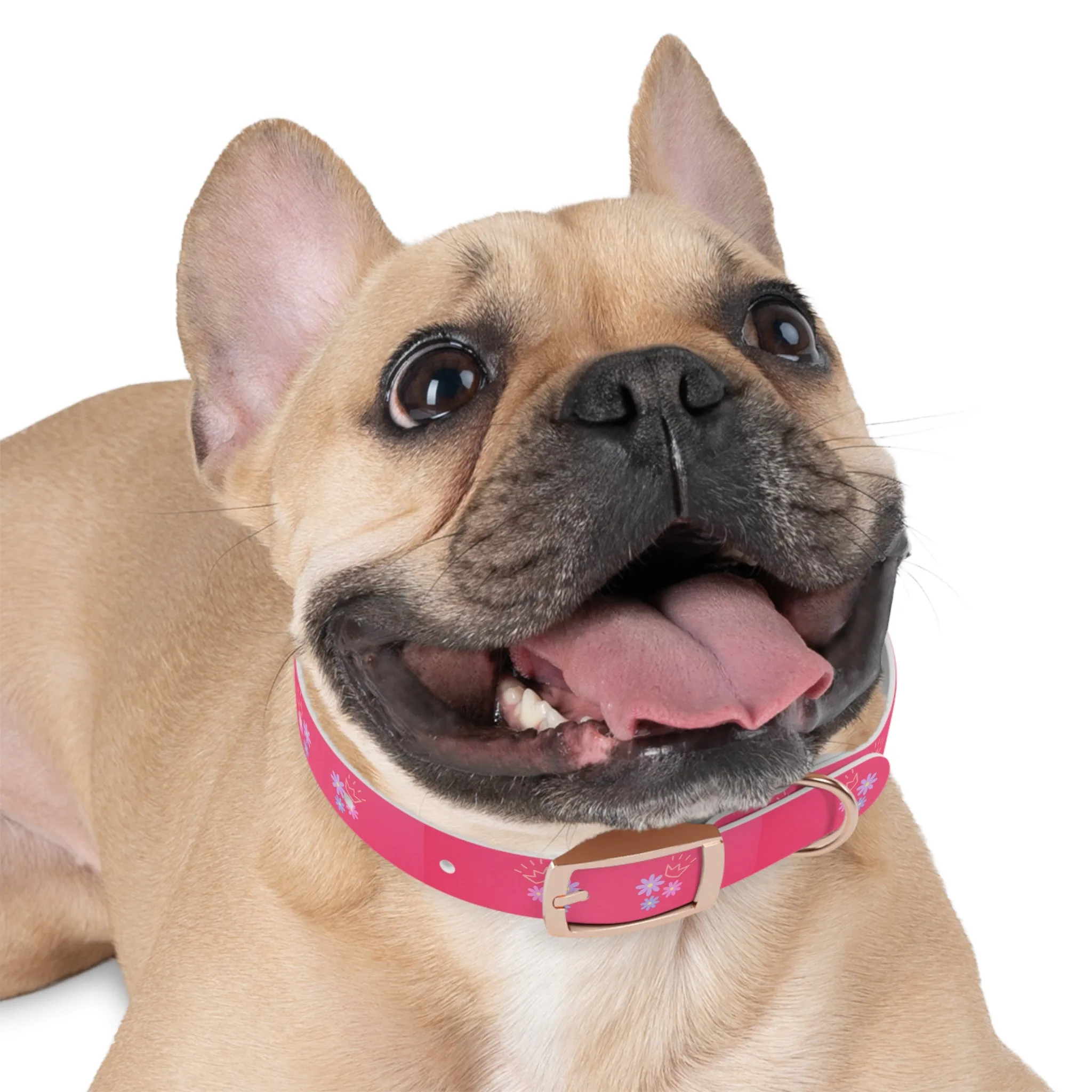 Flower Queen Dog Collar