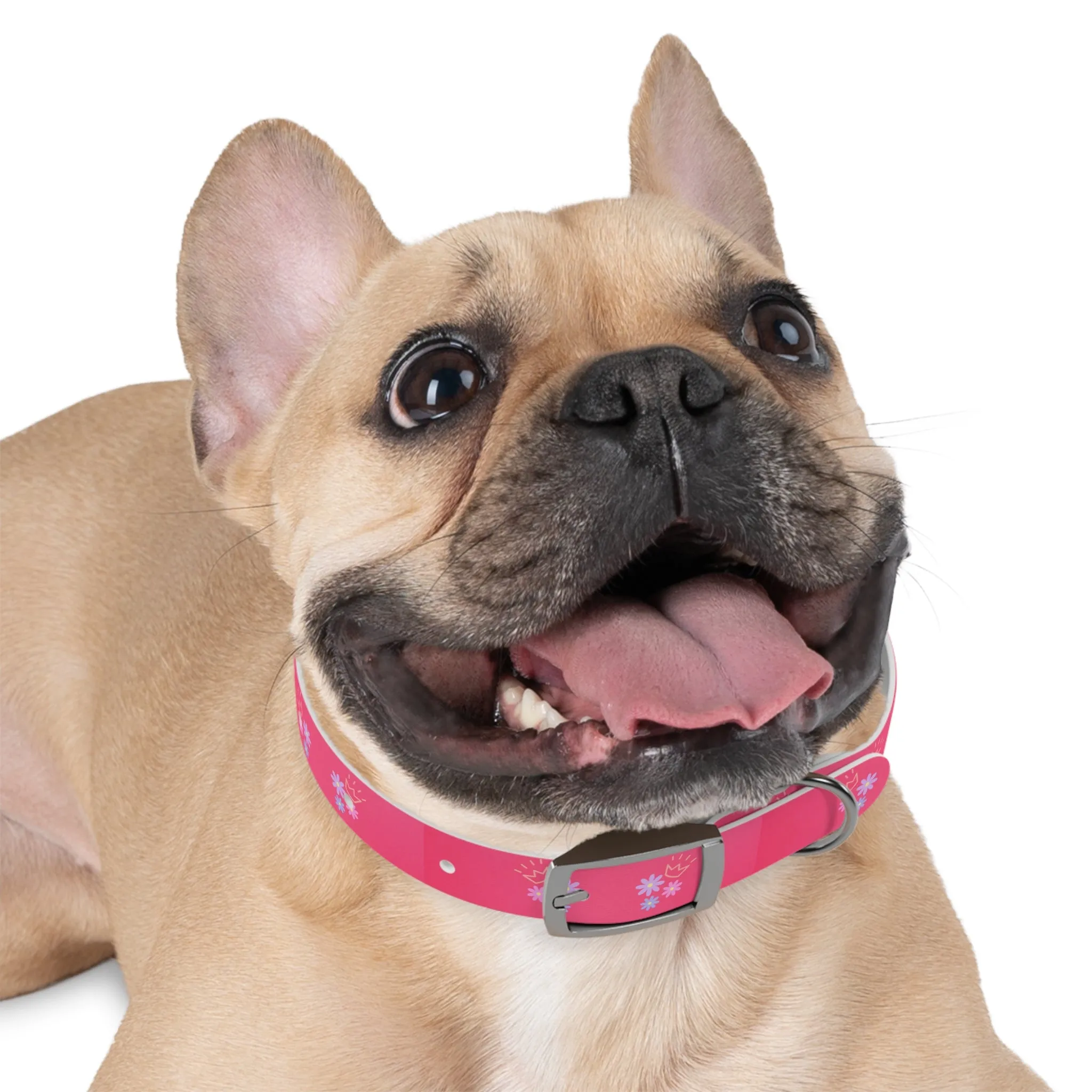 Flower Queen Dog Collar