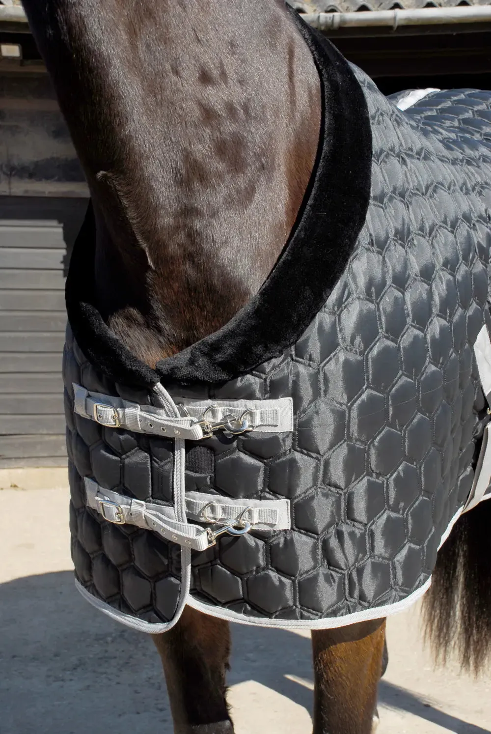 Rhinegold Michigan Stable Quilt